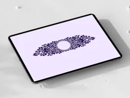 حاشیه طرح قلمدان نقوش ختایی
