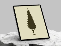 درخت سرو سنتی