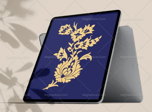 گل شاه عباسی و غنچه