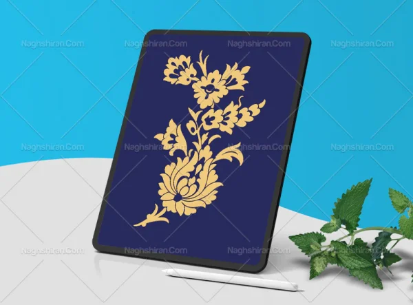 گل شاه عباسی و غنچه