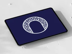 حاشیه طرح خاص سنتی