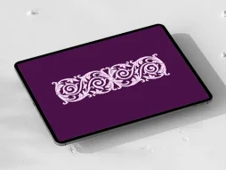 واگیره حاشیه سنتی یاسی