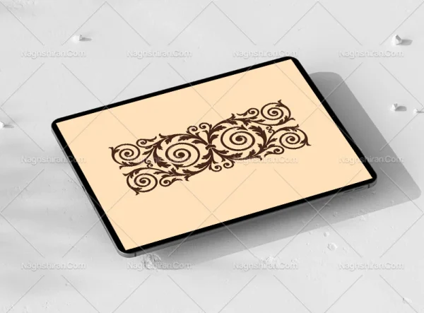 واگیره حاشیه گردش حلزونی