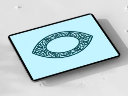 حاشیه بیضی اسلیمی