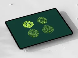 گل شاه عباسی چهار عددی تذهیب
