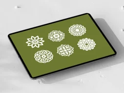 نشان شش عددی سنتی سفید