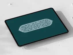 نقوش سنتی رنگی طرح قلمدان