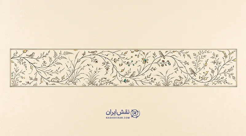 حاشیه تشعیری چیست؟